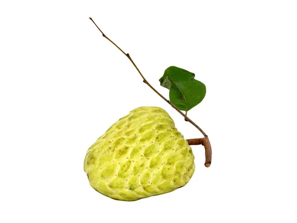 Detailní záběr Sugar apple ovoce. — Stock fotografie