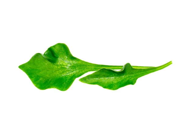 Watercress leaf on white background. — Stock Photo, Image