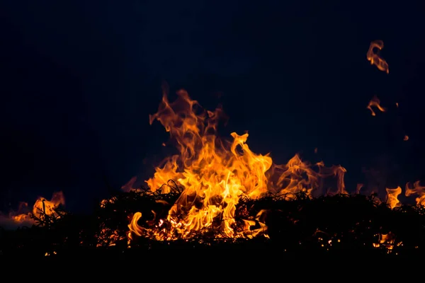 Φωτιά γρασίδι άνοιξη — Φωτογραφία Αρχείου