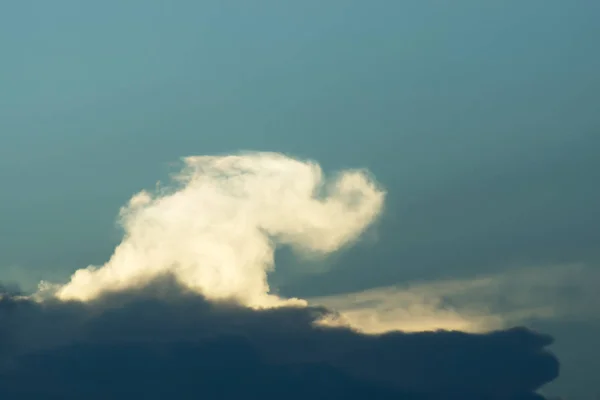 Słoń chmury na niebie — Zdjęcie stockowe