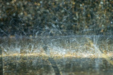 Yağmur mevsiminde yere yağmur yağar.