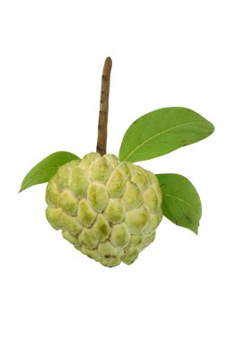 beyaz zemin üzerine şeker elma.