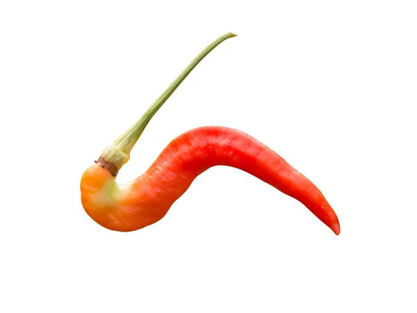 Rotes Chili aus nächster Nähe — Stockfoto