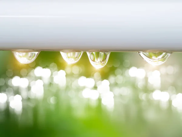 Water drop in the rain season — Stock Photo, Image