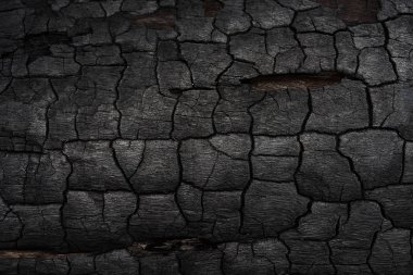 Kömürün yüzeyindeki detaylar.