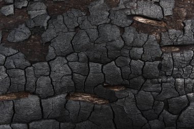 Kömürün yüzeyindeki detaylar.