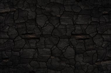 Kömürün yüzeyindeki detaylar.