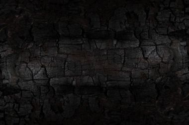 Kömürün yüzeyindeki detaylar.