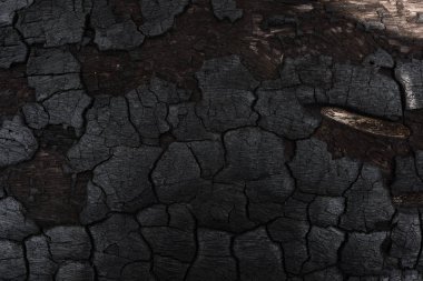 Kömürün yüzeyindeki detaylar.