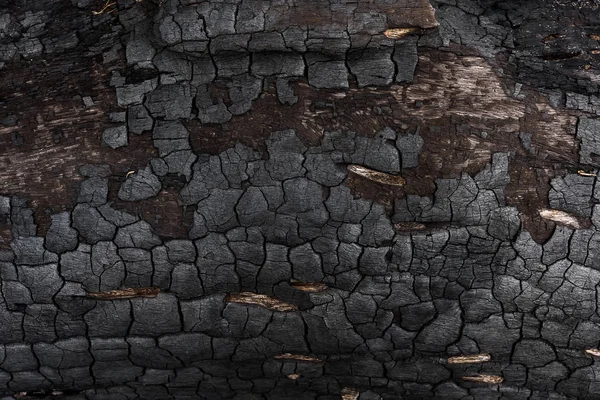 Detalhes sobre a superfície do carvão vegetal. — Fotografia de Stock