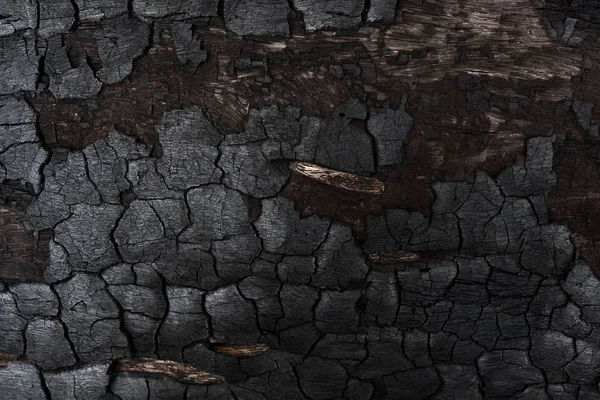 Detalhes sobre a superfície do carvão vegetal. — Fotografia de Stock