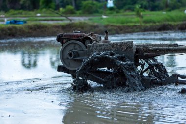 Çiftçilerin pirinç alanları plowing.