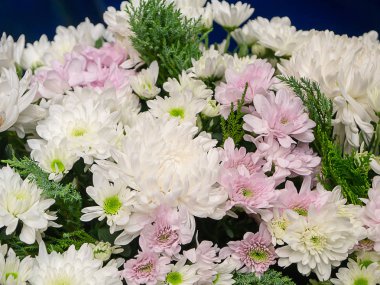 Çiçek aranjmanı ile krizantem