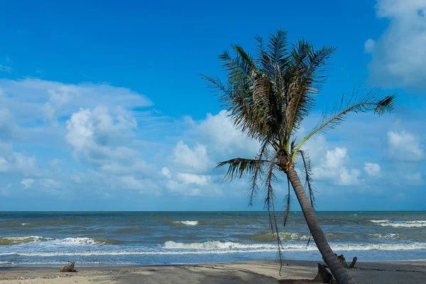 Olas en la playa — Foto de Stock