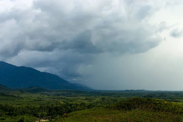 Vue sur la forêt verte sur la montagne . — Photo