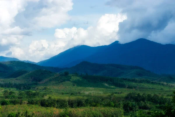 Zielony Las widok na góry. — Zdjęcie stockowe
