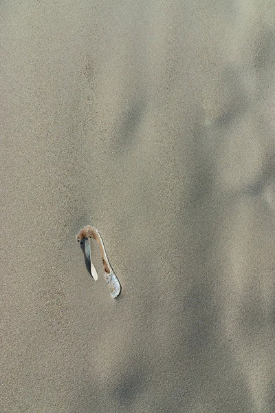 Textura de fundo de areia . — Fotografia de Stock
