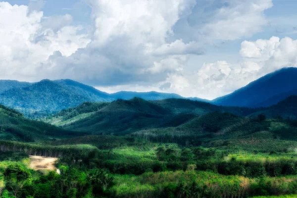 Zielony Las widok na góry. — Zdjęcie stockowe