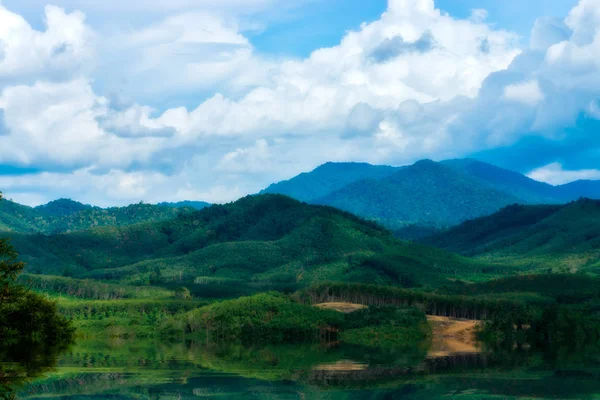 Вид на горы с зеленого леса . — стоковое фото