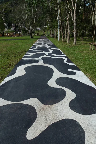 Walkway in the garden — Stock Photo, Image