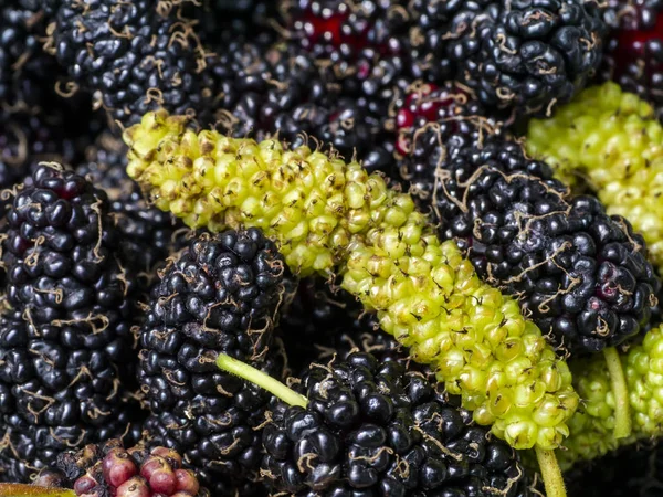 Frutta biologica di gelso. gelso giallo fresco su gelso nero — Foto Stock