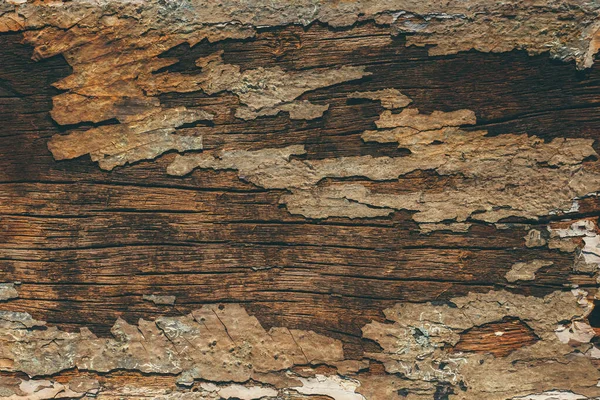 Close up of Old wood background. — Stock Photo, Image