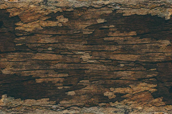 Close up of Old wood background. — Stock Photo, Image