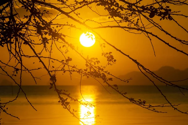 Branche silhouette avec coucher de soleil sur le fond du lac — Photo