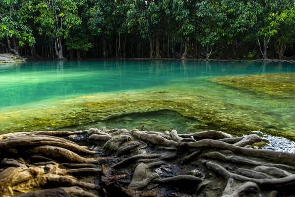 Natura Incredibile Acqua Verde Nella Foresta Con Terreno Fronte Sfocato — Foto Stock