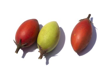 İspanyol kirazına, Tanjong ağacına ya da beyaz arkaplanda gölgeli Mermi ağacına yakın dur..