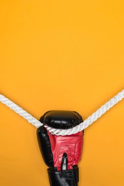 Boks eldiveni ipte asılı