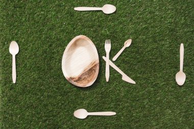 wooden cutlery items and plate on grass clipart