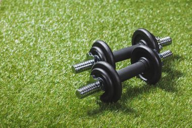 two black iron dumbbells on meadow clipart
