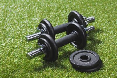 dumbbells with weight plates on grass clipart