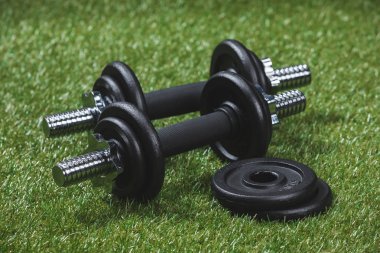 dumbbells with weight plates on grass clipart