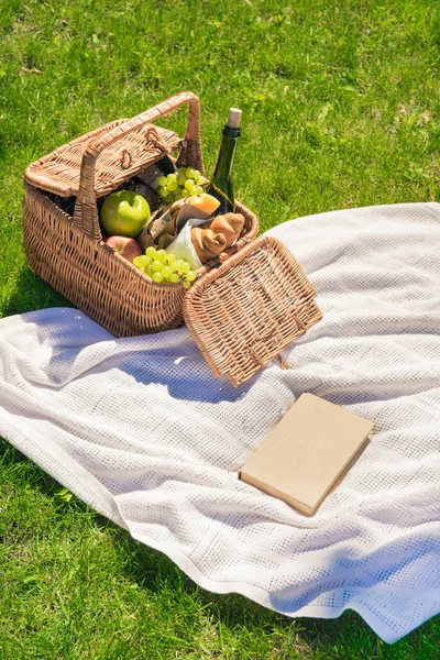 Piknik kosár gyümölcs és könyv — Stock Fotó