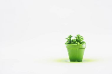 close up view of plant in green flowerpot isolated on white clipart