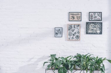 Çerçeveler modern Studio Dövme desenleri