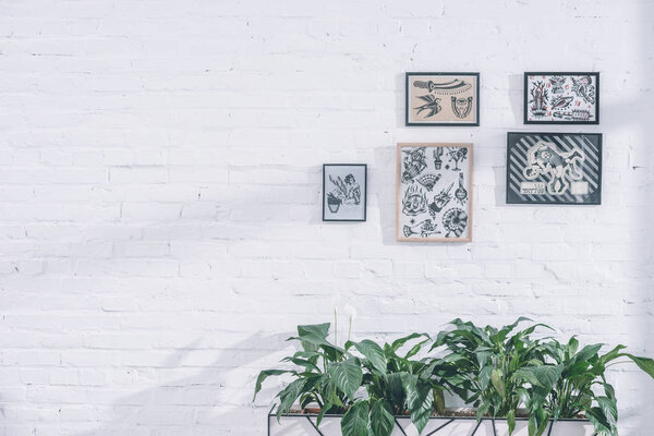 Tattoo designs in frames in modern studio