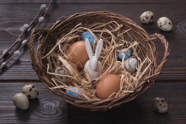 tavuk ve Bıldırcın yumurta ve tavşan yuvada yüksek açılı görünüş