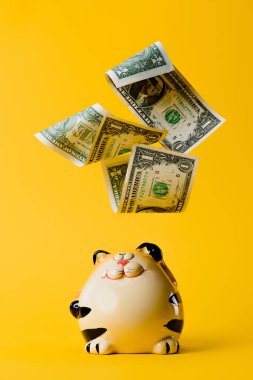 hala banka ve sarı izole düşen Doları banknot görünümünü kapat