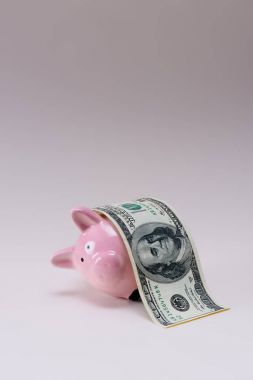 close up view of pink piggy bank with 100 dollar banknote isolated on lilac clipart
