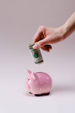 cropped shot of woman putting dollar banknote into pink piggy bank isolated on lilac clipart