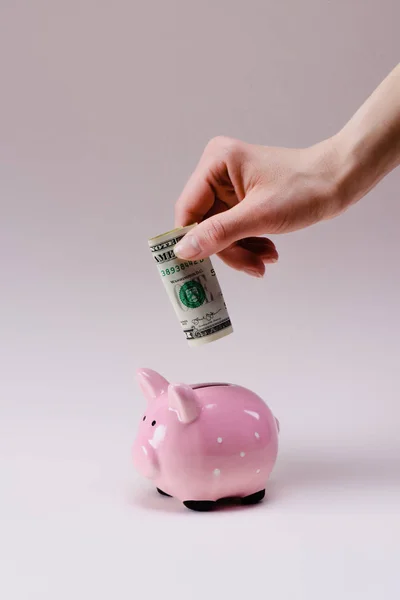 裁剪拍摄的妇女把美元钞票成粉红色的小猪银行孤立的丁香花 — 图库照片