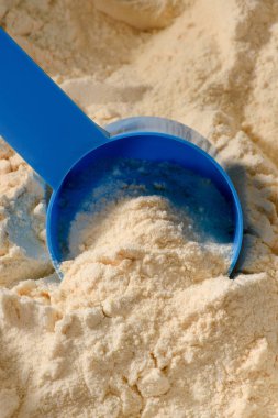 close-up shot of plastic spoon dipping in pile of protein powder clipart