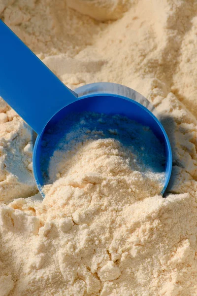 Close Shot Plastic Spoon Dipping Pile Protein Powder — Stock Photo, Image
