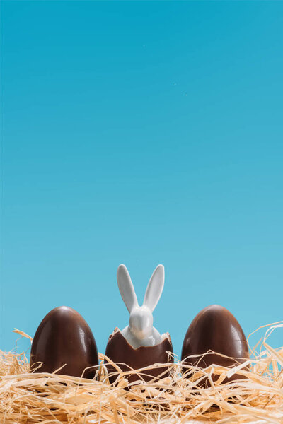 delicious chocolate eggs with eater bunny in nest isolated on blue