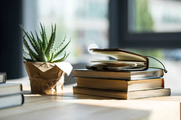 Close-up view of books, notebook with pencil and potted plant on wooden table — Stock Photo