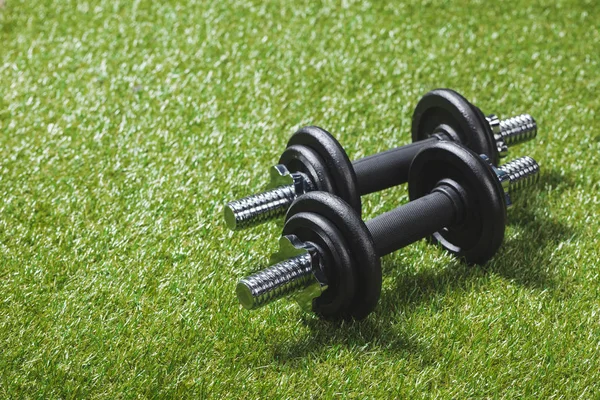 Two black iron dumbbells on meadow — Stock Photo