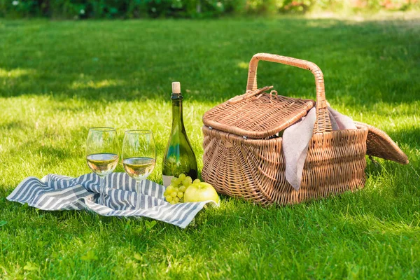 Cesta de piquenique com frutas e vinho — Fotografia de Stock